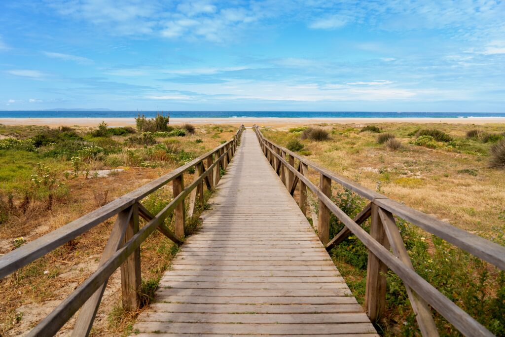 Tarifa